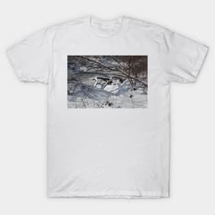 Everything is Frozen T-Shirt